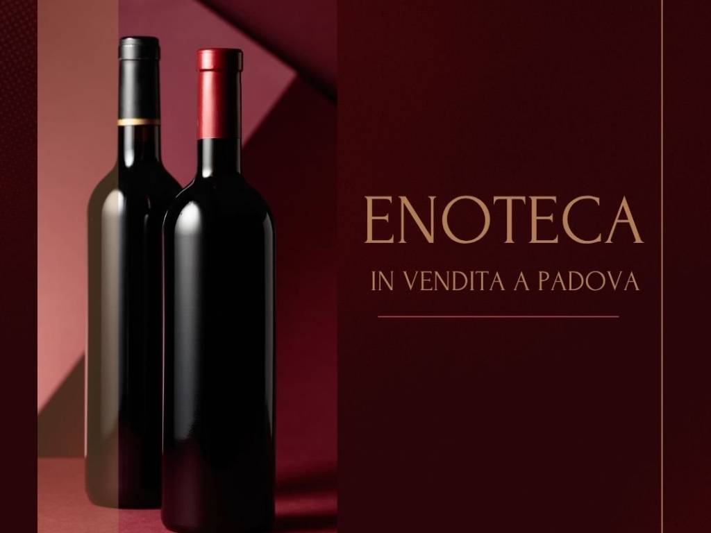 negozio in vendita a Padova in zona Santa Croce