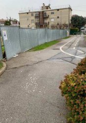 immagine annuncio 0 di 5