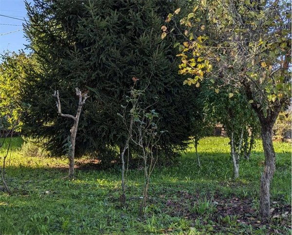 casa indipendente in vendita a Padova in zona Guizza