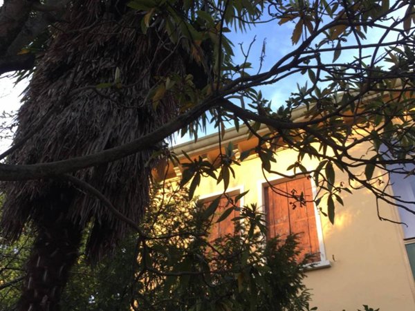 casa indipendente in vendita a Padova in zona Sant'Osvaldo / Santa Rita