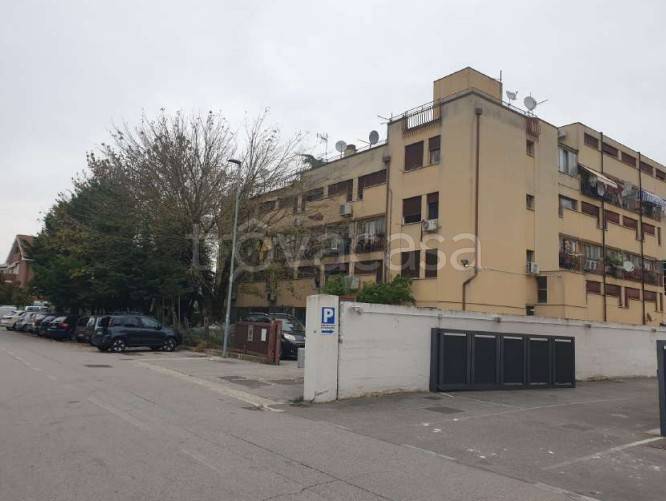 appartamento in vendita a Padova in zona Arcella