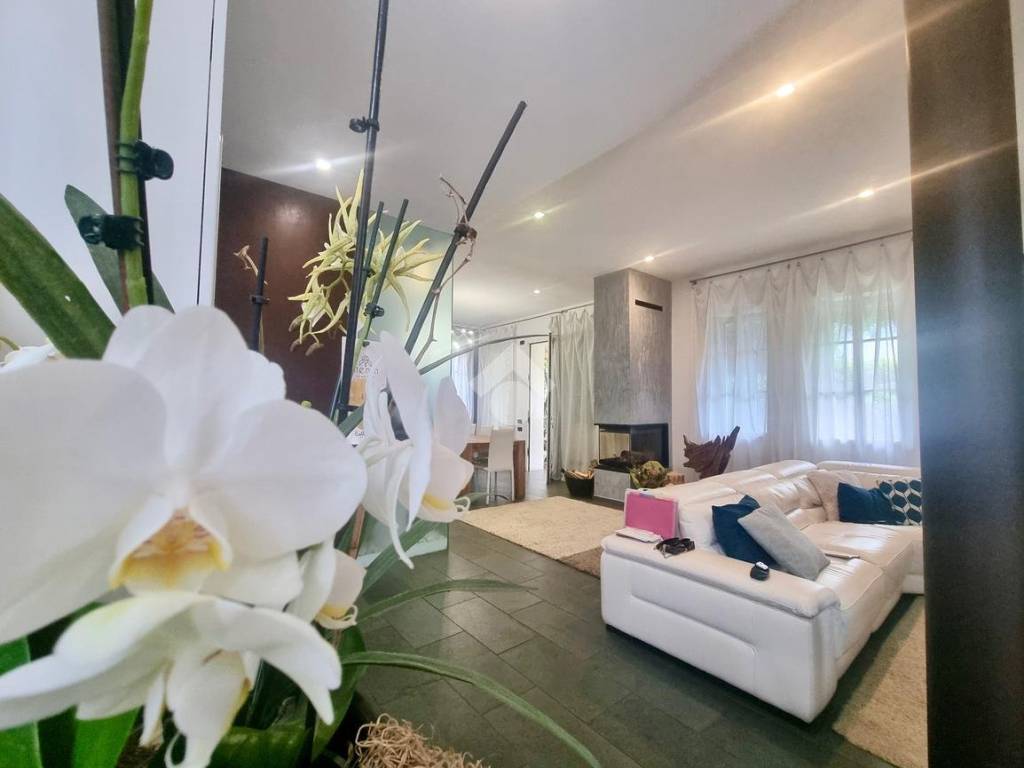 casa indipendente in vendita a Padova in zona Santa Croce