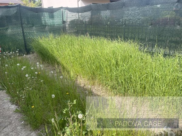 casa indipendente in vendita a Padova in zona Montà
