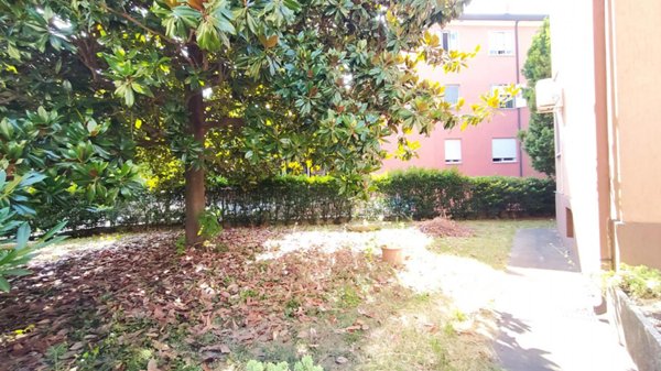 appartamento in vendita a Padova in zona Brentelle