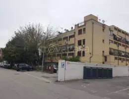 appartamento in vendita a Padova in zona Arcella
