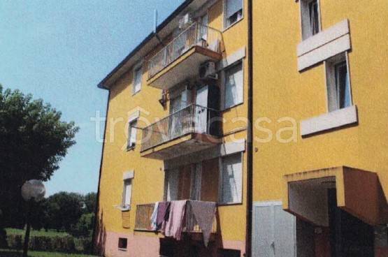 appartamento in vendita a Padova in zona Forcellini / Terranegra