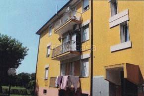 appartamento in vendita a Padova in zona Forcellini / Terranegra