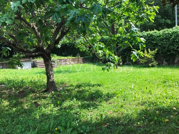 casa indipendente in vendita a Padova in zona Portello