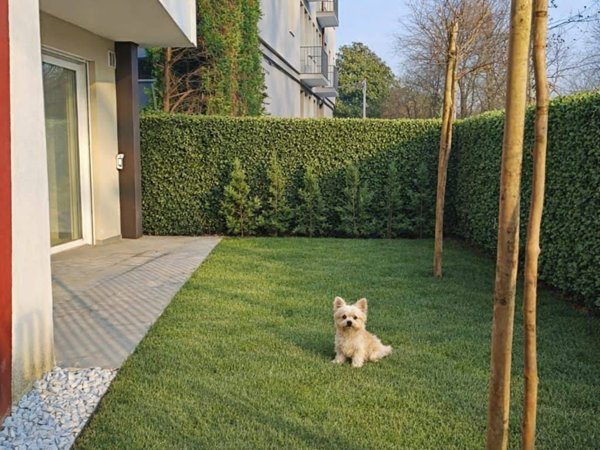 appartamento in vendita a Padova in zona San Giuseppe