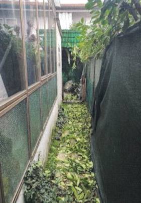 appartamento in vendita a Padova in zona Olmo