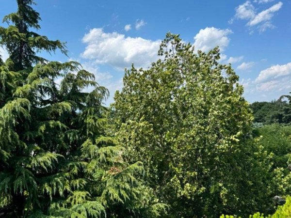 appartamento in vendita a Padova in zona Sacra Famiglia