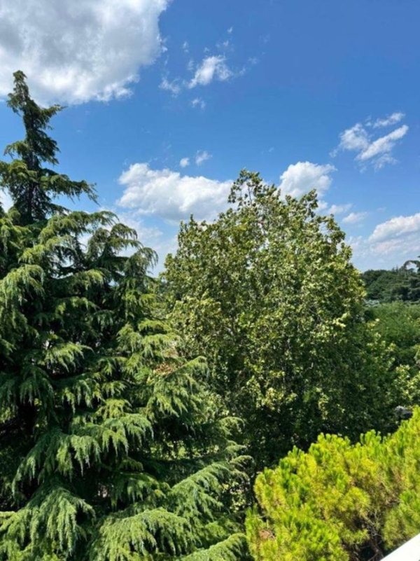 appartamento in vendita a Padova in zona San Giuseppe