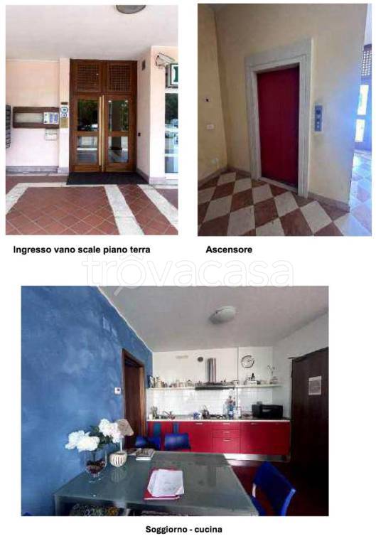 appartamento in vendita a Padova in zona Montà
