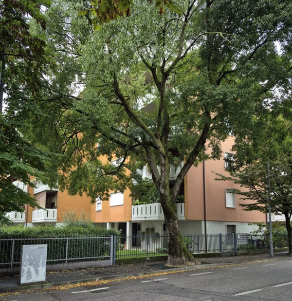 appartamento in vendita a Padova in zona Brentelle