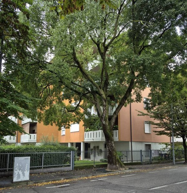appartamento in vendita a Padova