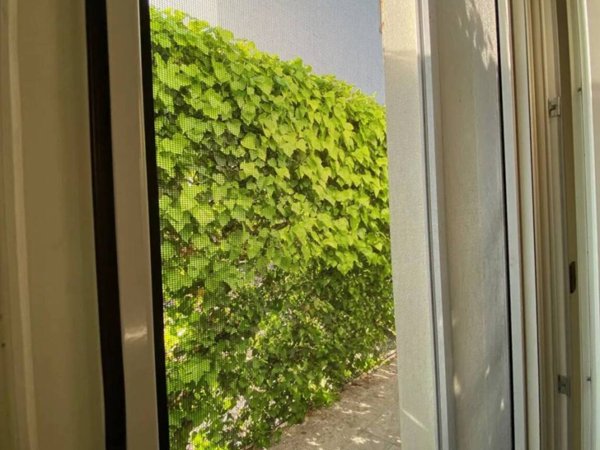 casa indipendente in vendita a Padova in zona Santa Croce