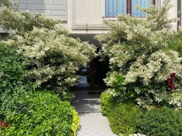 appartamento in vendita a Padova in zona Madonna Pellegrina