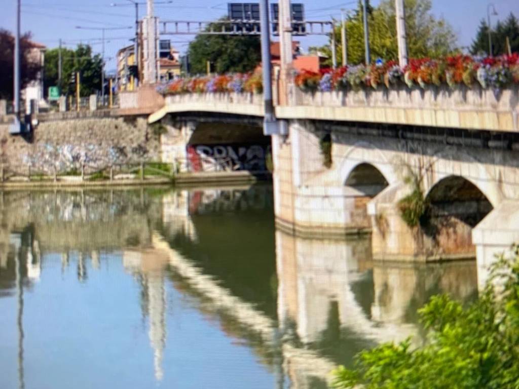 negozio in vendita a Padova in zona Sacra Famiglia
