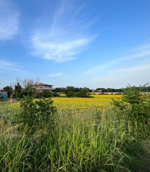 terreno agricolo in vendita a Padova in zona San Carlo