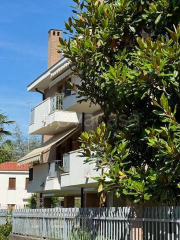 appartamento in vendita a Padova in zona Madonna Pellegrina