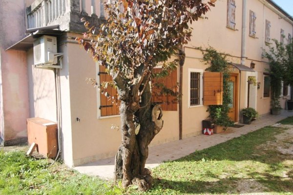 appartamento in vendita a Padova in zona Sacra Famiglia