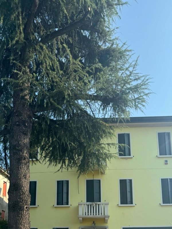 appartamento in vendita a Padova in zona Pontevigodarzere