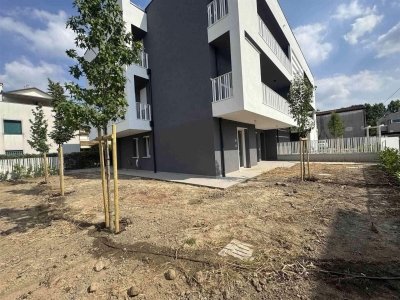 appartamento in vendita a Padova in zona Madonna Pellegrina