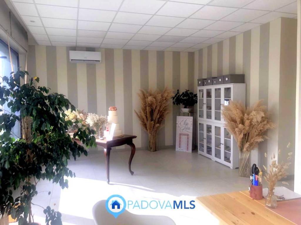 negozio in vendita a Padova in zona Pontevigodarzere