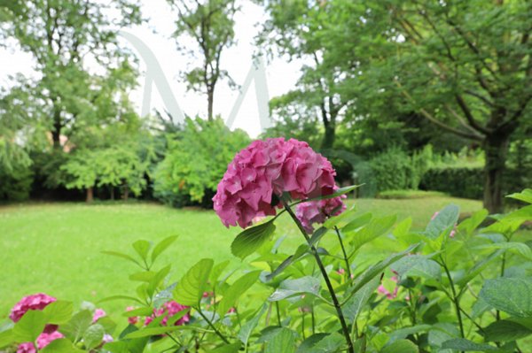 casa indipendente in vendita a Padova in zona Forcellini / Terranegra