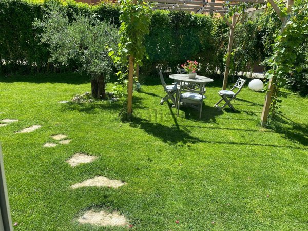 casa indipendente in vendita a Padova in zona Madonna Pellegrina