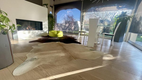 casa indipendente in vendita a Padova in zona San Carlo