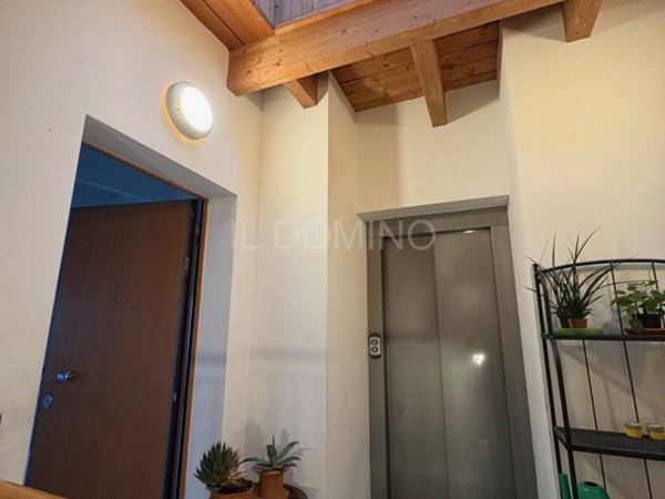 appartamento in vendita a Padova in zona Madonna Pellegrina