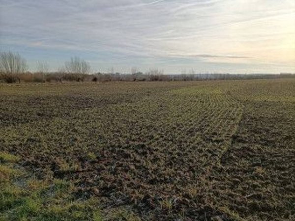 terreno edificabile in vendita a Padova in zona Centro Storico