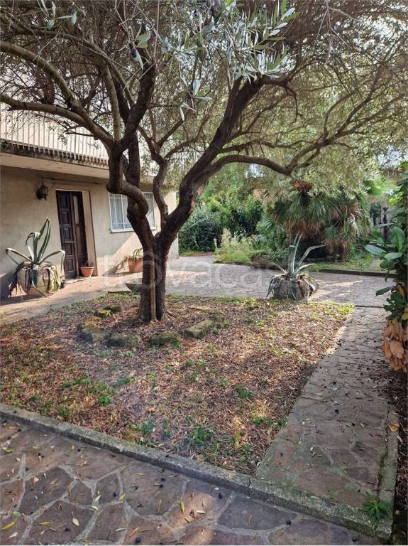 casa indipendente in vendita a Padova