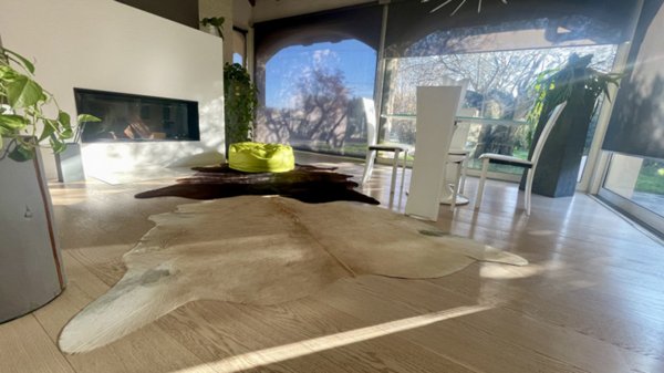 casa indipendente in vendita a Padova in zona San Carlo