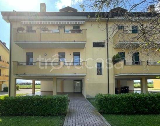 appartamento in vendita a Padova
