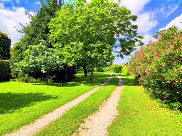 appartamento in vendita a Padova in zona Brentelle