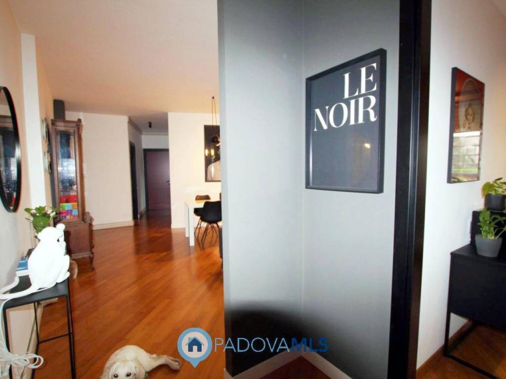 appartamento in vendita a Padova in zona Portello