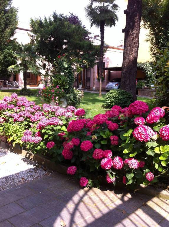 appartamento in vendita a Padova in zona Centro Storico