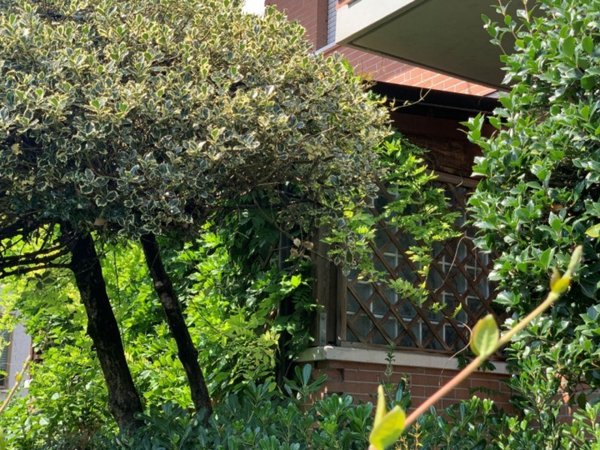 appartamento in vendita a Padova in zona Pio X