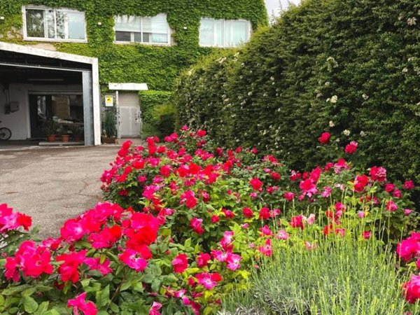 casa indipendente in vendita a Padova in zona Porta Trento
