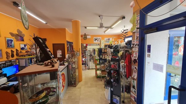 casa semindipendente in vendita a Padova in zona Bassanello