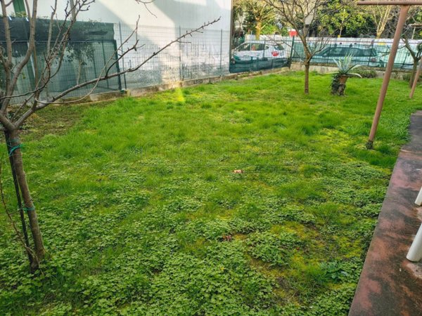 casa indipendente in vendita a Padova in zona San Giuseppe