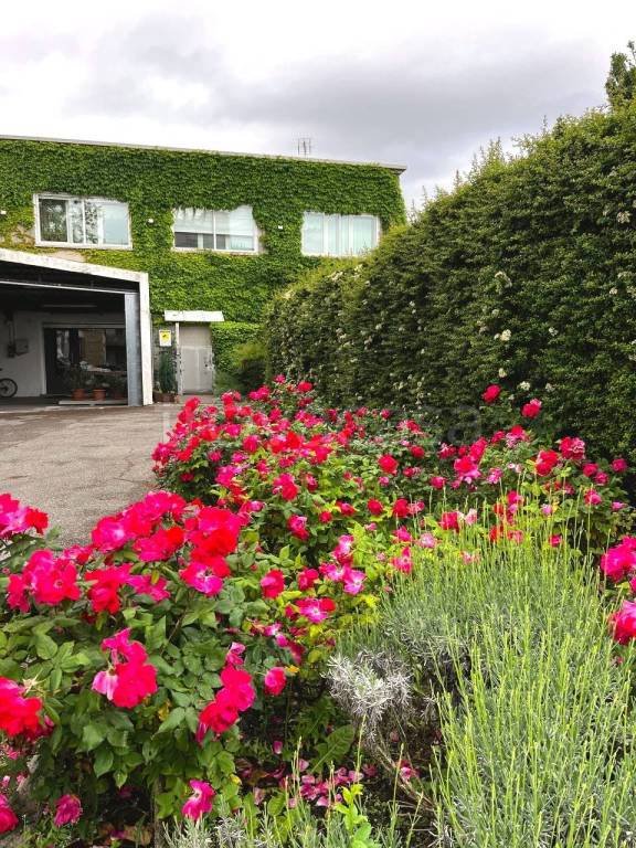 casa indipendente in vendita a Padova in zona Porta Trento