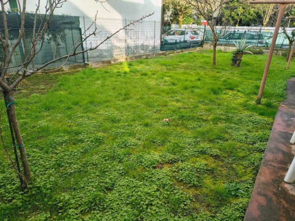 casa indipendente in vendita a Padova in zona San Giuseppe