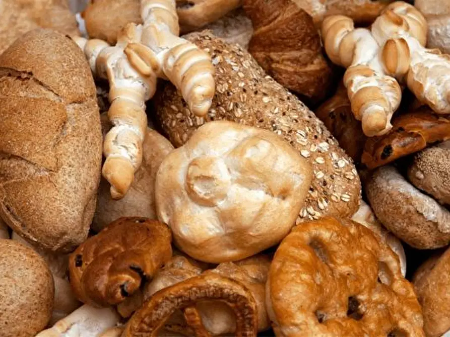 negozio in vendita a Padova in zona Arcella