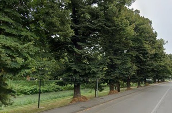 appartamento in vendita a Padova in zona Sacra Famiglia