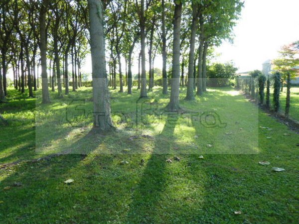 terreno edificabile in vendita a Padova in zona Ponte di Brenta