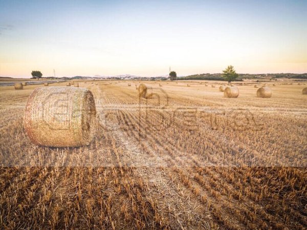 terreno agricolo in vendita a Padova in zona Camin / Granze