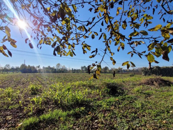 terreno agricolo in vendita a Padova